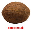 coconut